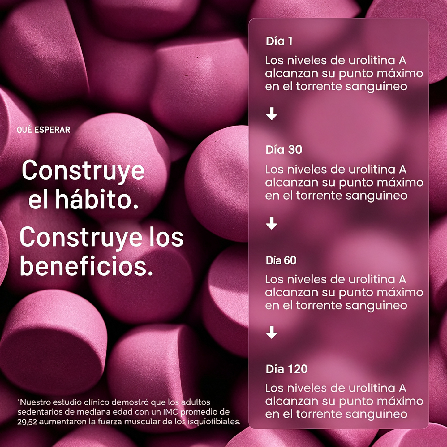 Gomitas de suplemento Mitopure Urolithin A