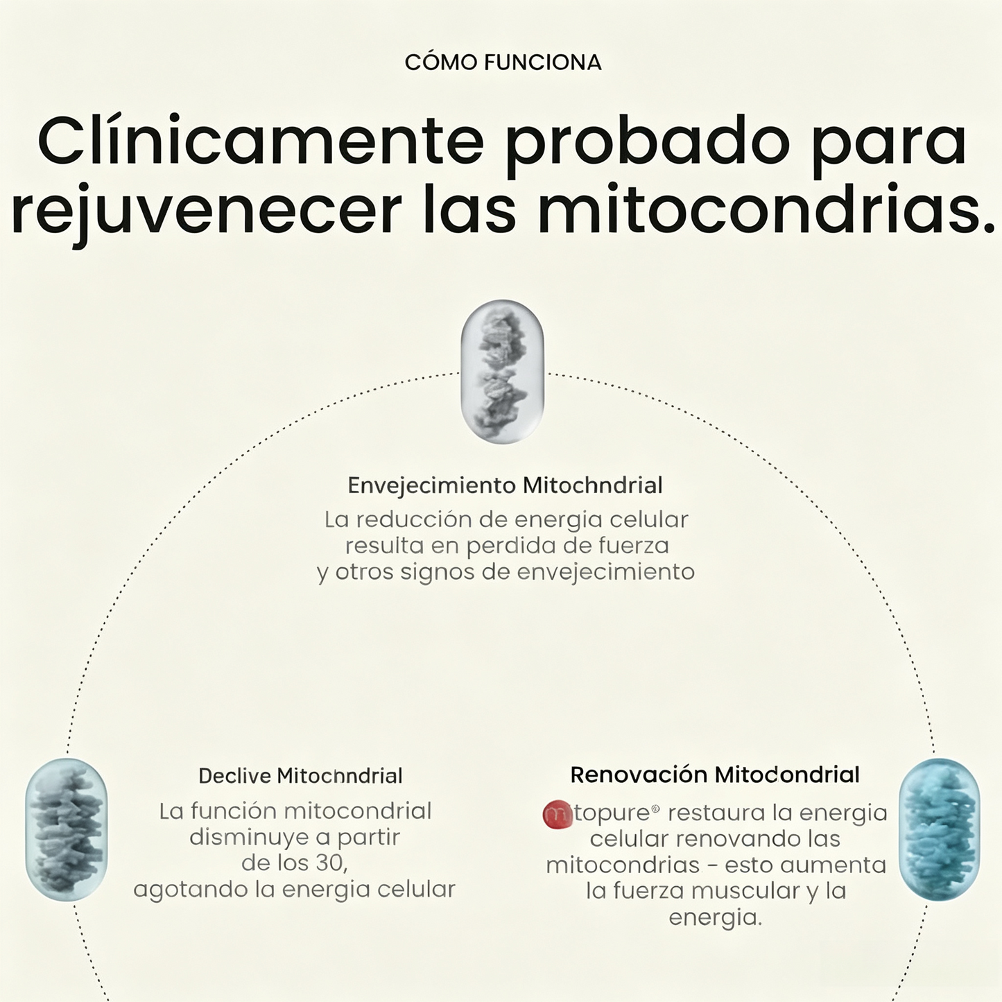 Gomitas de suplemento Mitopure Urolithin A