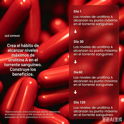Mitopure Urolithin A Softgel Supplement